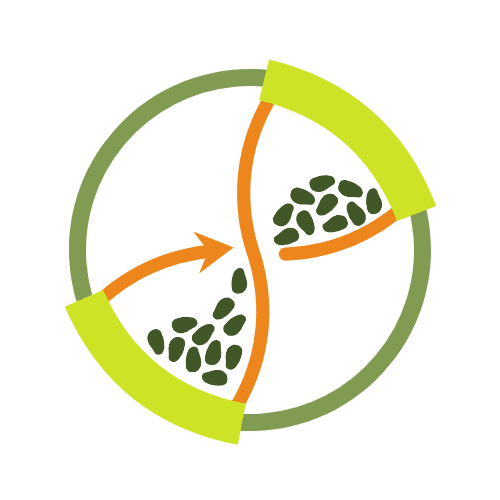 ChloroNova